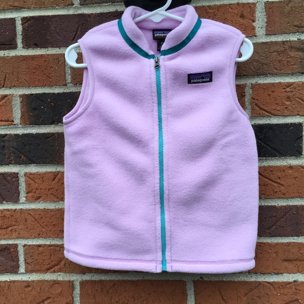 Patagonia Synchilla purple and teal zip up vest